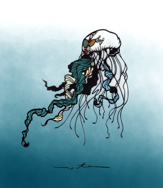 クラゲ