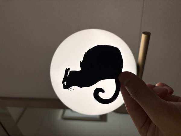 照明と猫