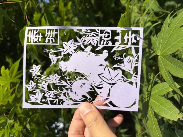 キキョウと猫（油山寺様｜令和7年6月）