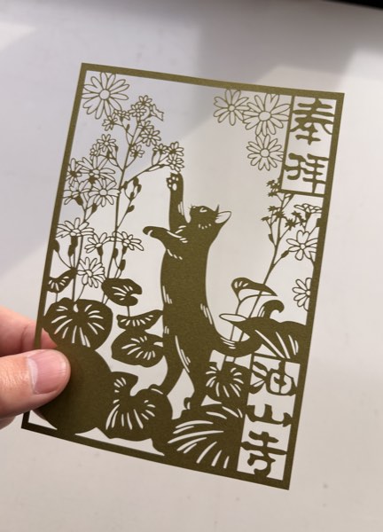 ツワブキと猫（油山寺様｜令和7年11月）